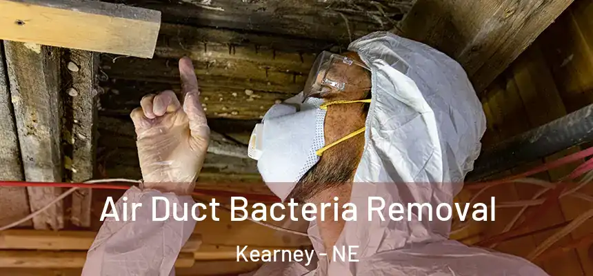  Air Duct Bacteria Removal Kearney - NE