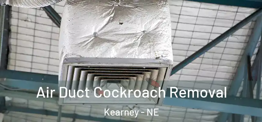Air Duct Cockroach Removal Kearney - NE