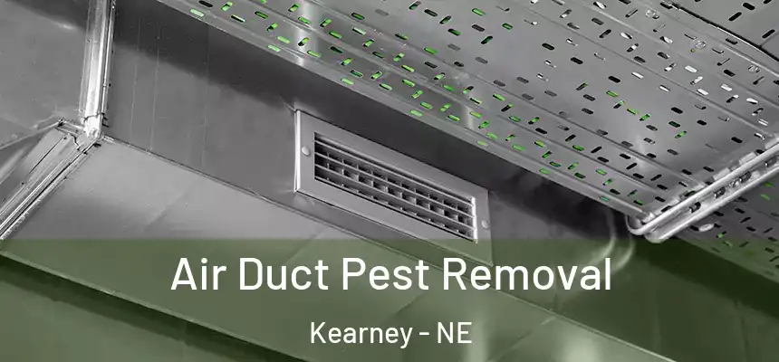 Air Duct Pest Removal Kearney - NE