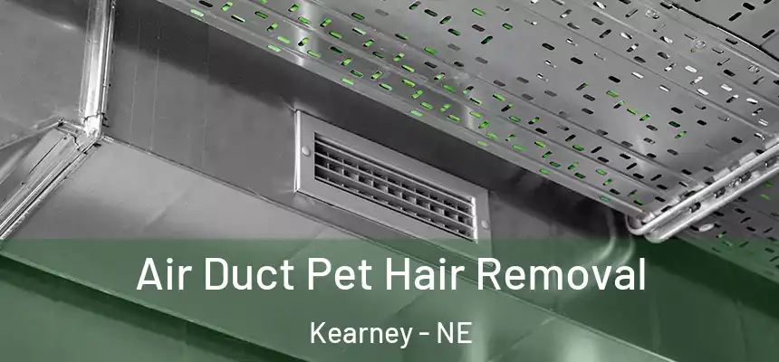 Air Duct Pet Hair Removal Kearney - NE
