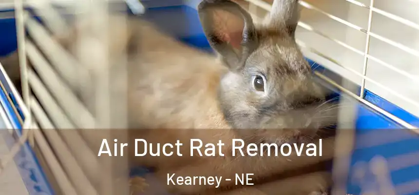  Air Duct Rat Removal Kearney - NE