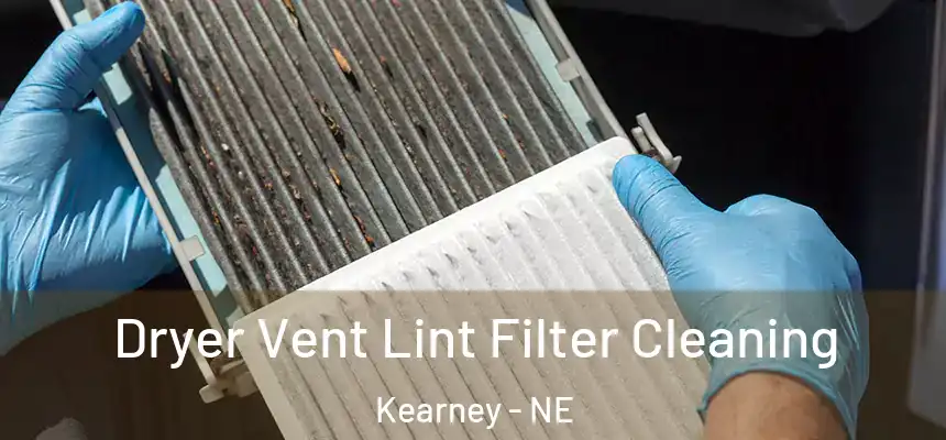  Dryer Vent Lint Filter Cleaning Kearney - NE
