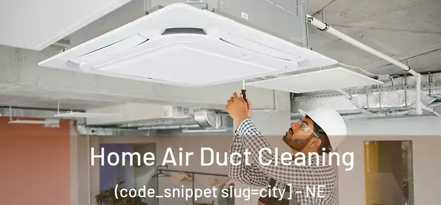  Home Air Duct Cleaning (code_snippet slug=city] - NE