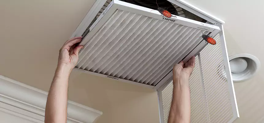 Preventive Cockroach-Proofing for Ducts in Kearney