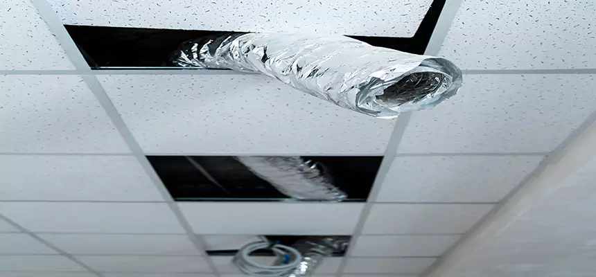 Affordable HVAC Sanitizing After Pest Removal in Kearney