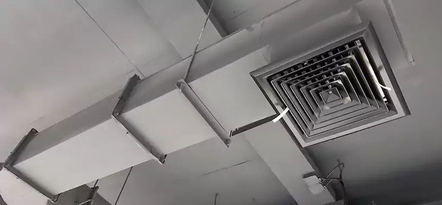 Our Pest Removal From Ducts Services in Kearney, NE