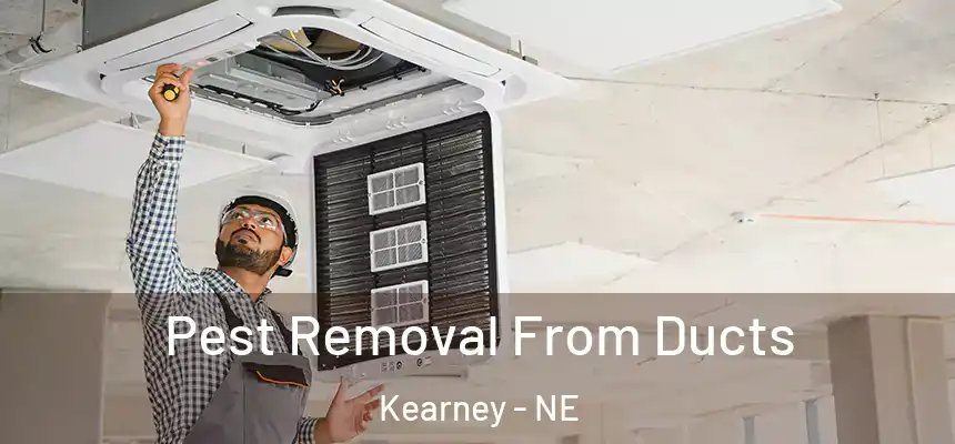  Pest Removal From Ducts Kearney - NE