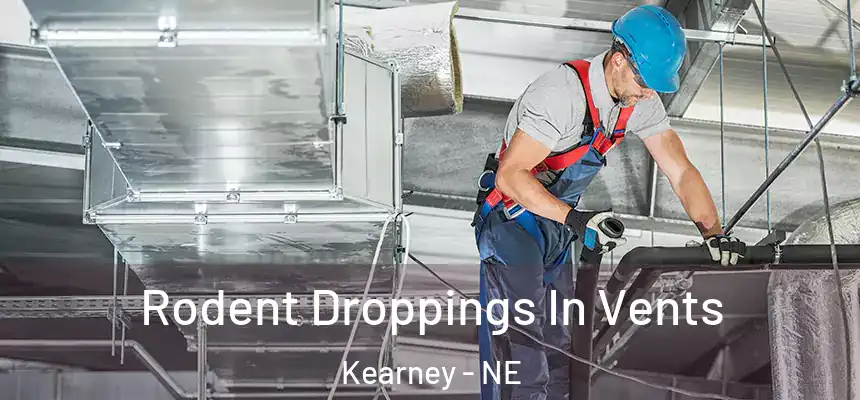  Rodent Droppings In Vents Kearney - NE