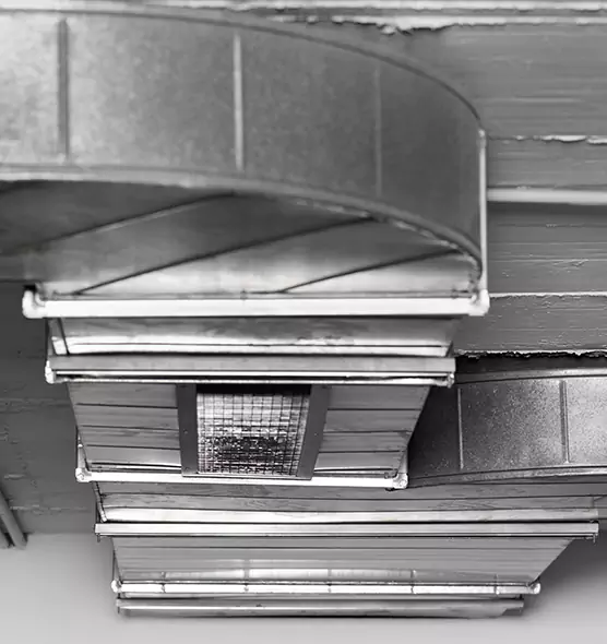 Professional Air Duct Pest Removal in Kearney, NE